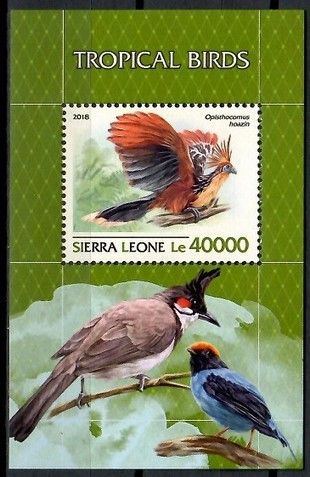 Znaczek Sierra Leone 2018 Mi bl 1551 Czyste **