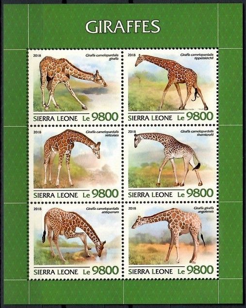 Znaczek Sierra Leone 2018 Mi ark 10185-10190 Czyste **