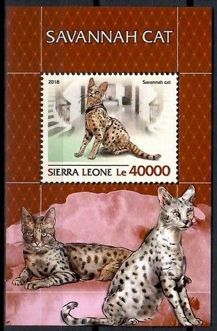 Znaczek Sierra Leone 2018 Mi bl 1553 Czyste **