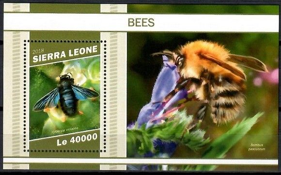 Znaczek Sierra Leone 2018 Mi bl 1610 Czyste **