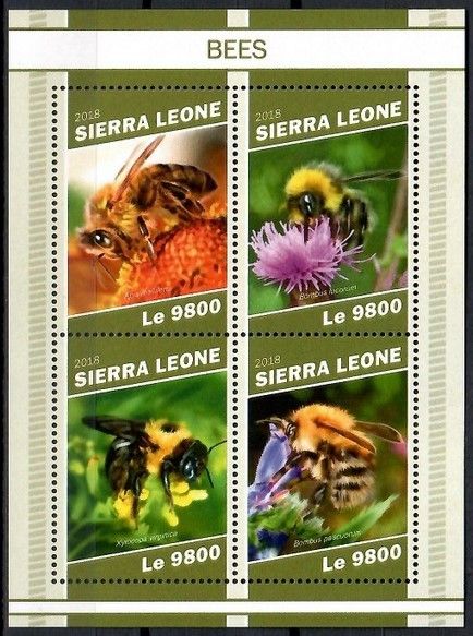 Znaczek Sierra Leone 2018 Mi ark 10519-10522 Czyste **