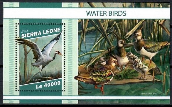 Znaczek Sierra Leone 2018 Mi bl 1614 Czyste **