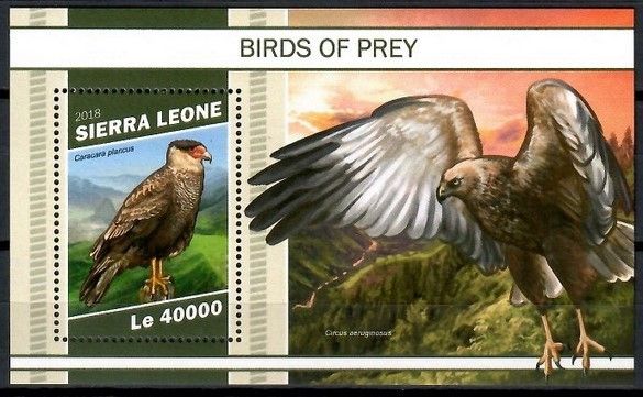 Znaczek Sierra Leone 2018 Mi bl 1615 Czyste **