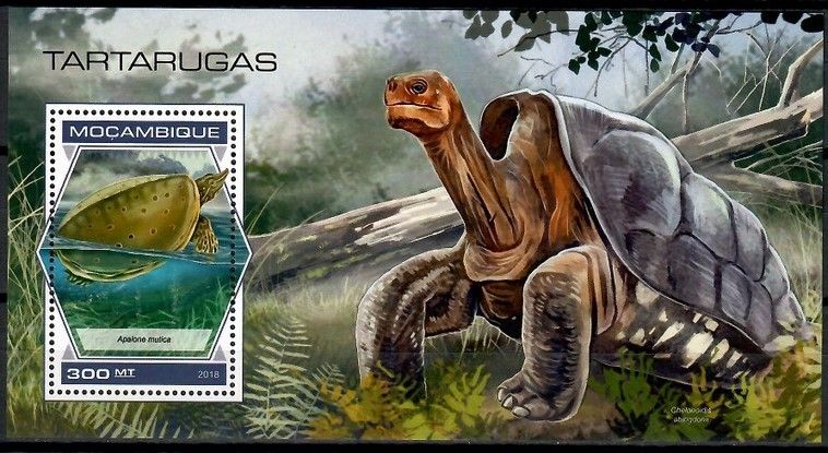 Znaczek Mozambik 2018 Mi bl 1394 Czyste **