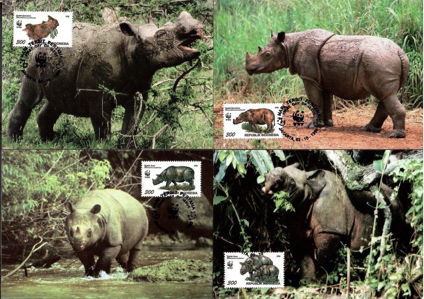 Znaczek Indonezja 1996 Mi 1648-1651 Karta Max
