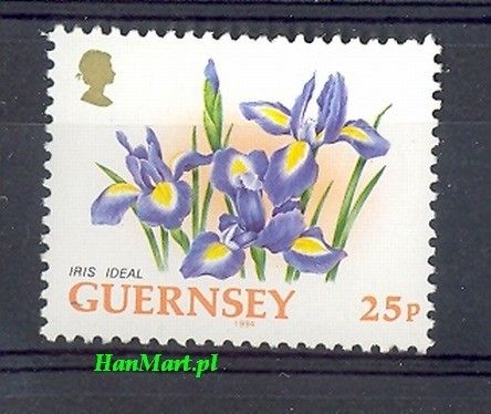 Znaczek Guernsey 1994 Mi 634 Czyste **