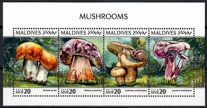 Znaczek Malediwy 2018 Mi ark 7928-7931 Czyste **