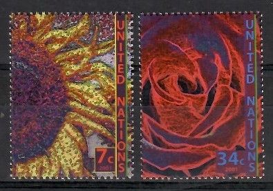 Znaczek Narody Zjednoczone Nowy Jork 2001 Mi 870-871 Czyste **
