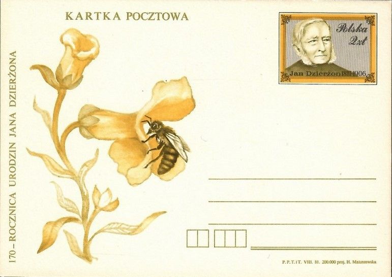 Znaczek Polska 1981 Fi Cp790 Całostka pocztowa