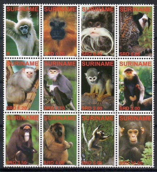 Znaczek Surinam 2006 Mi 2077-2088 Czyste **