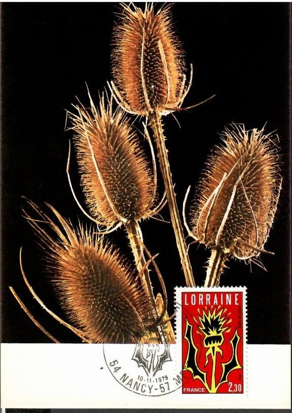 Znaczek Francja 1979 Mi 2178 Karta Max