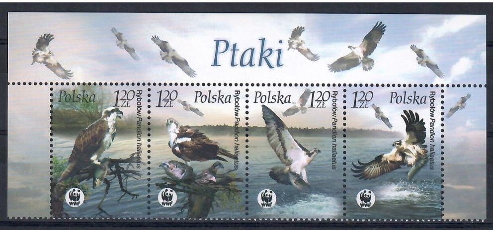 Znaczek Polska 2003 Mi 4079-4082 Fi 3929-3932 Czyste **