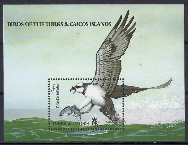 Znaczek Turks i Caicos 1990 Mi bl 84 Czyste **