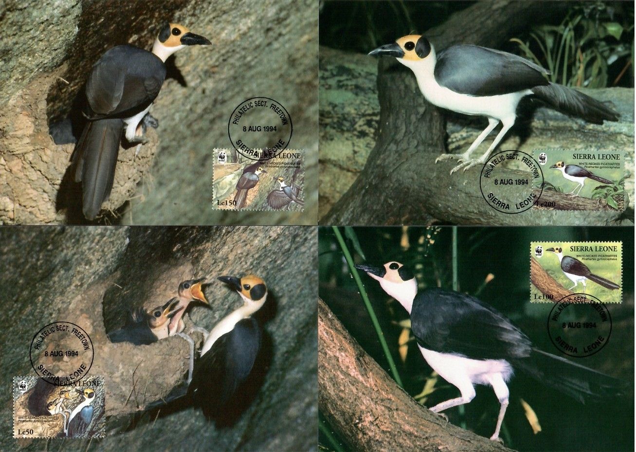 Znaczek Sierra Leone 1994 Mi 2171-2174 Karta Max