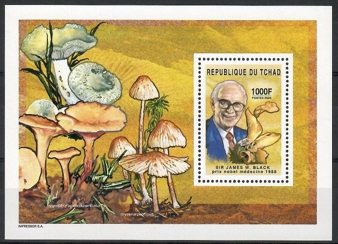 Znaczek Czad 2004 Mi bl 387 Czyste **