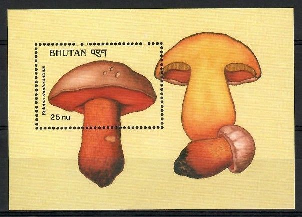 Znaczek Bhutan 1989 Mi bl 192 Czyste **