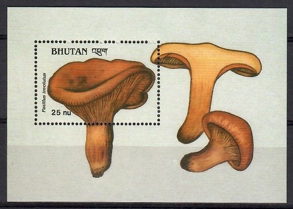 Znaczek Bhutan 1989 Mi bl 193 Czyste **