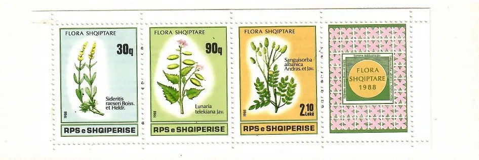 Znaczek  Albania 1988 Mi mh 3 Czyste **