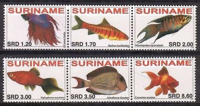 Znaczek Surinam 2006