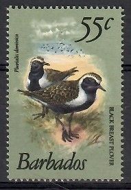 Znaczek Barbados 1981 Mi 535 Czyste **