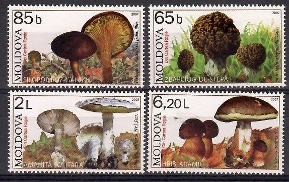 Znaczek Mołdawia 2007 Mi 578-581 Czyste **