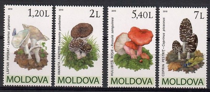 Znaczek Mołdawia 2010 Mi 694-697 Czyste **
