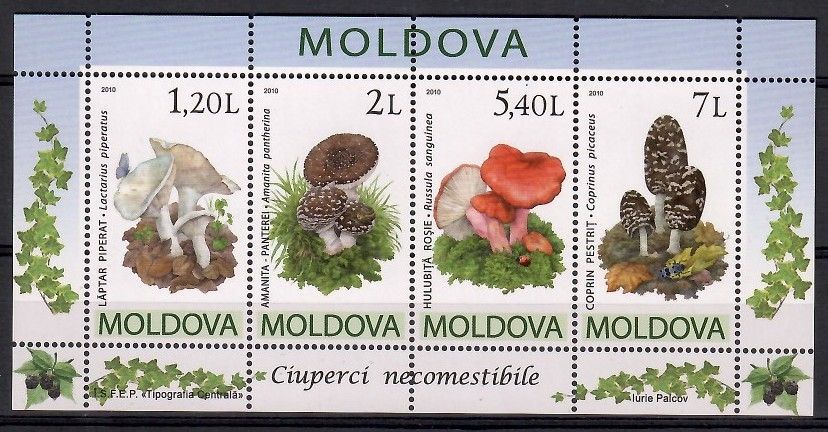 Znaczek Mołdawia 2010 Mi bl 49 Czyste **