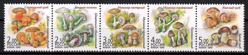 Znaczek Rosja 2003 Mi 1108-1112 Czyste **