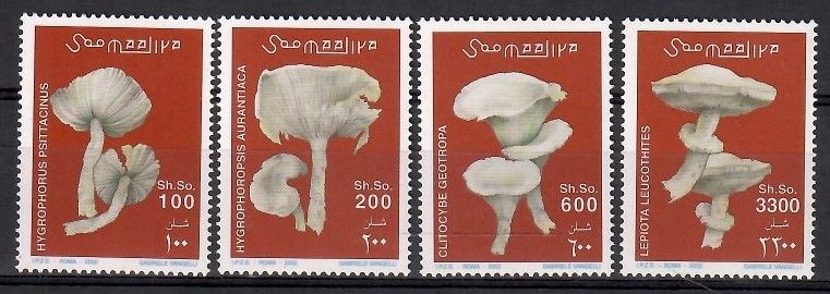 Znaczek Somalia 2002 Mi 962-965 Czyste **