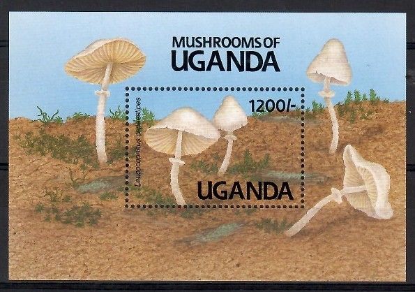 Znaczek Uganda 1991 Mi bl 146 Czyste **