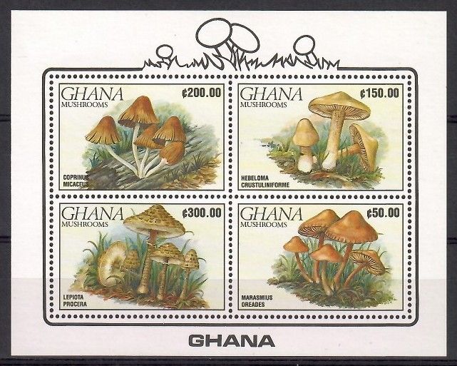 Znaczek Ghana 1990 Mi bl 165 Czyste **