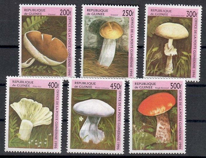 Znaczek Gwinea 1996 Mi 1610-1615 Czyste **