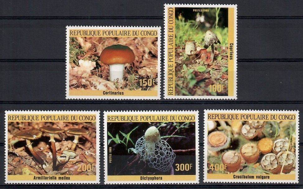 Znaczek Kongo 1985 Mi 1016-1020 Czyste **