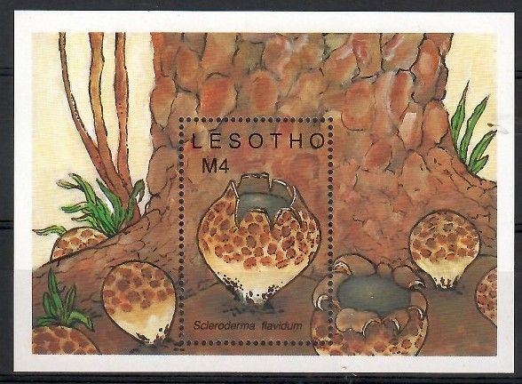 Znaczek Lesotho 1989 Mi bl 64 Czyste **