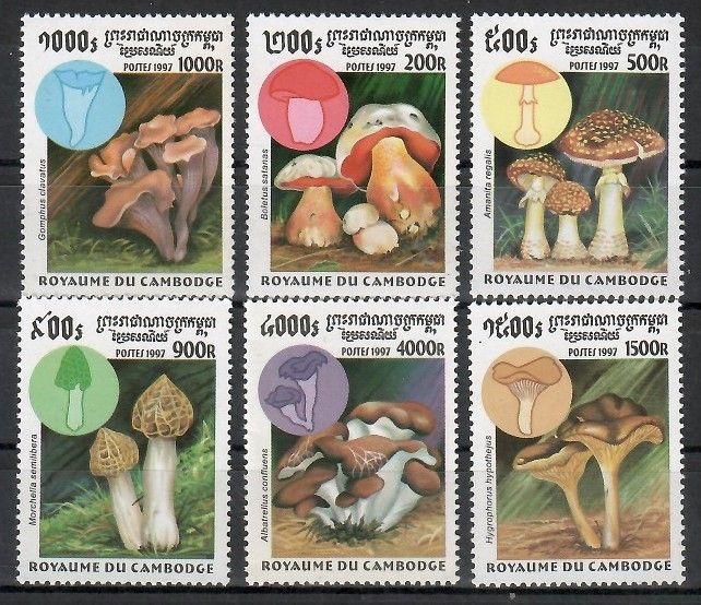 Znaczek Kambodża 1997 Mi 1755-1760 Czyste **