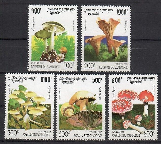 Znaczek Kambodża 1995 Mi 1503-1507 Czyste **