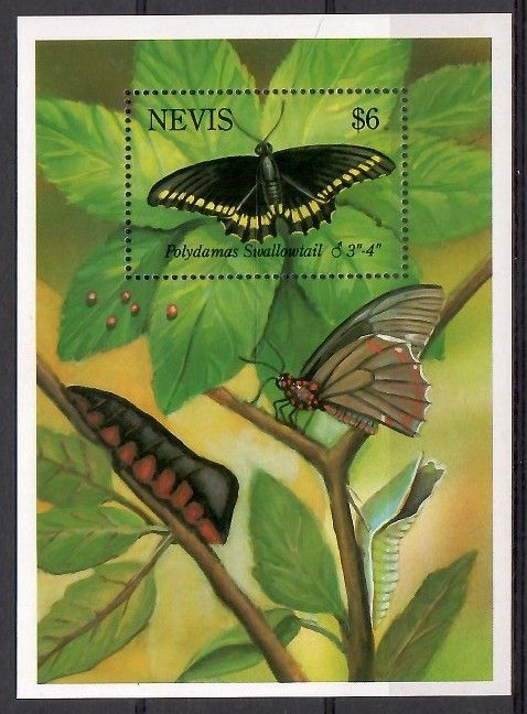 Znaczek Nevis 1993 Mi bl 64 Czyste **