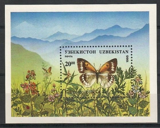 Znaczek Uzbekistan 1995 Mi bl 9 Czyste **