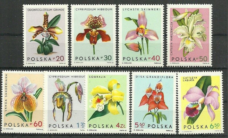Znaczek Polska 1965 Mi 1612-1620 Fi 1463-1471 Czyste **