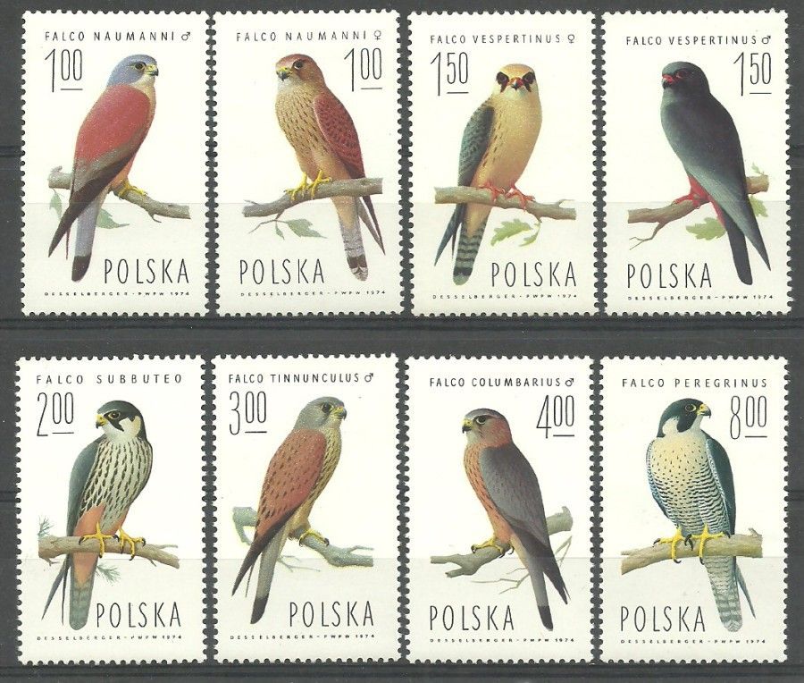 Znaczek Polska 1975 Mi 2354-2361 Fi 2207-2214 Czyste **