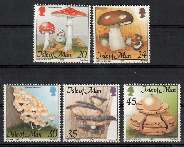 Znaczek Wyspa Man 1995 Mi 650-654 Czyste **