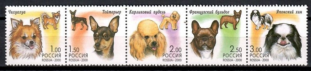 Znaczek Rosja 2000 Mi 837-841 Czyste **