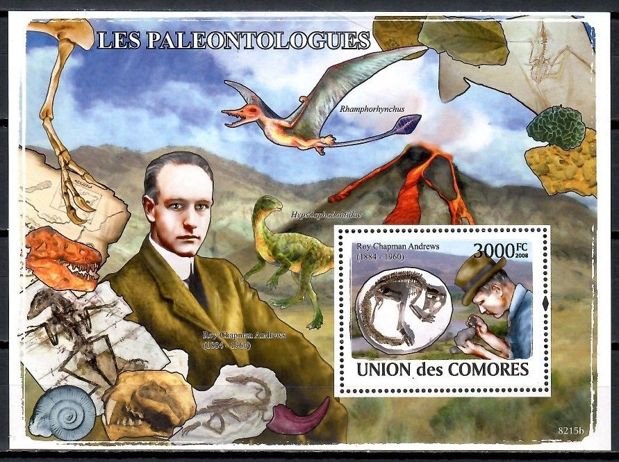 Znaczek Komory 2009 Mi bl 452 Czyste **