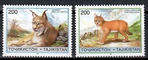 Znaczek Tadżykistan 1996 Mi 98-99 Czyste **