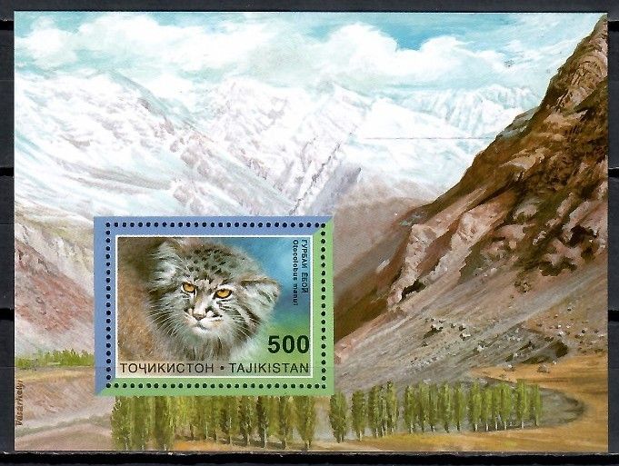 Znaczek Tadżykistan 1996 Mi bl 9 Czyste **