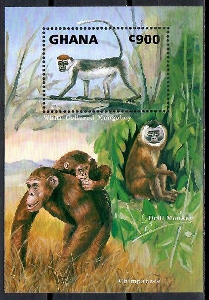 Znaczek Ghana 1993 Mi bl 226 Czyste **