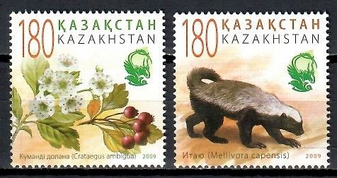 Znaczek Kazachstan 2009 Mi 662-663 Czyste **