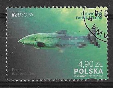 Znaczek Polska 2024 Mi abo 5526 Fi 5378 Stemplowane