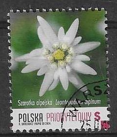 Znaczek Polska 2024 Mi abo 5527 Fi 5379 Stemplowane