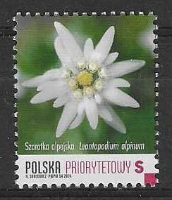 Znaczek Polska 2024 Mi 5527 Fi 5379 Czyste **